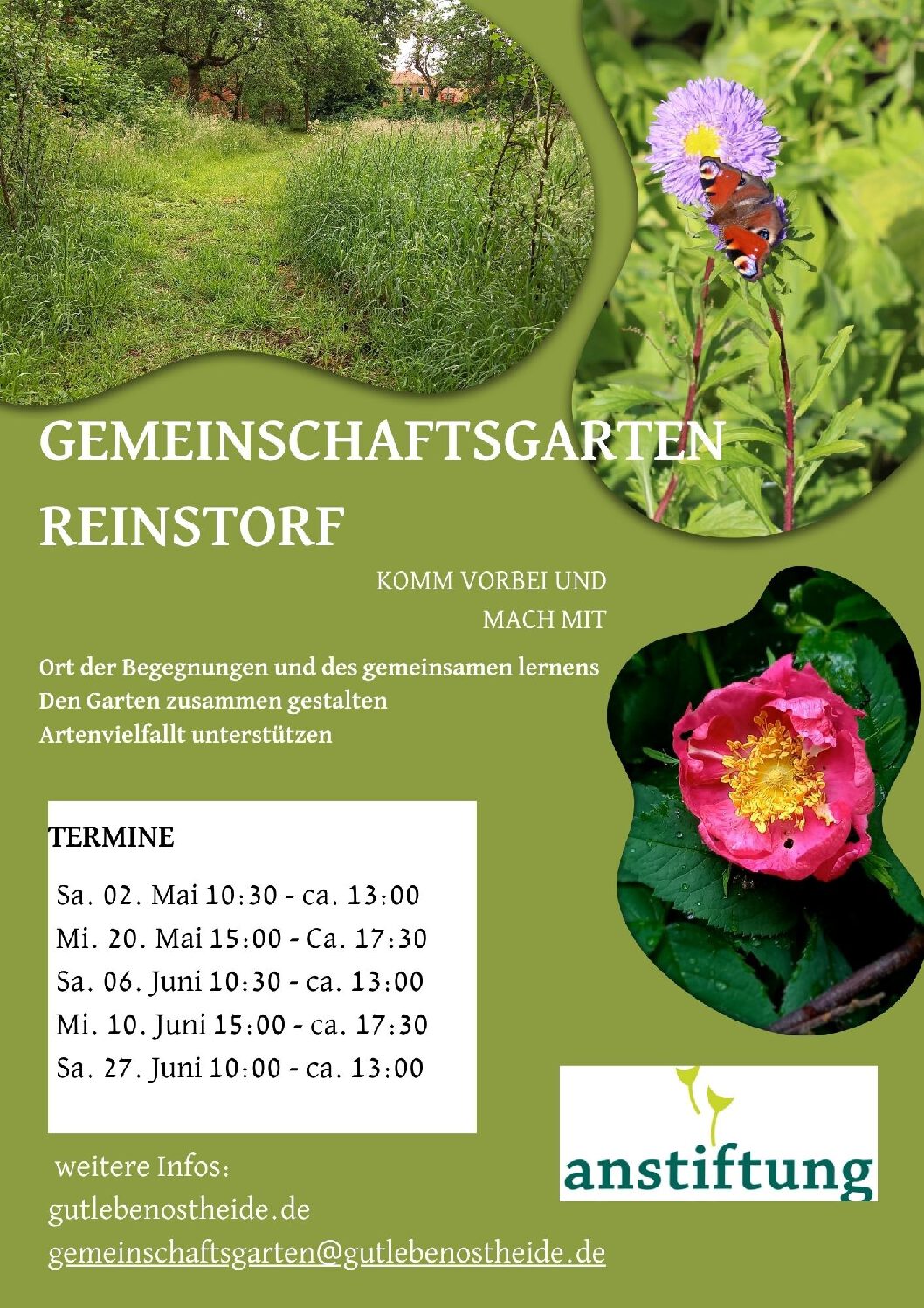 Gemeinschaftsgarten